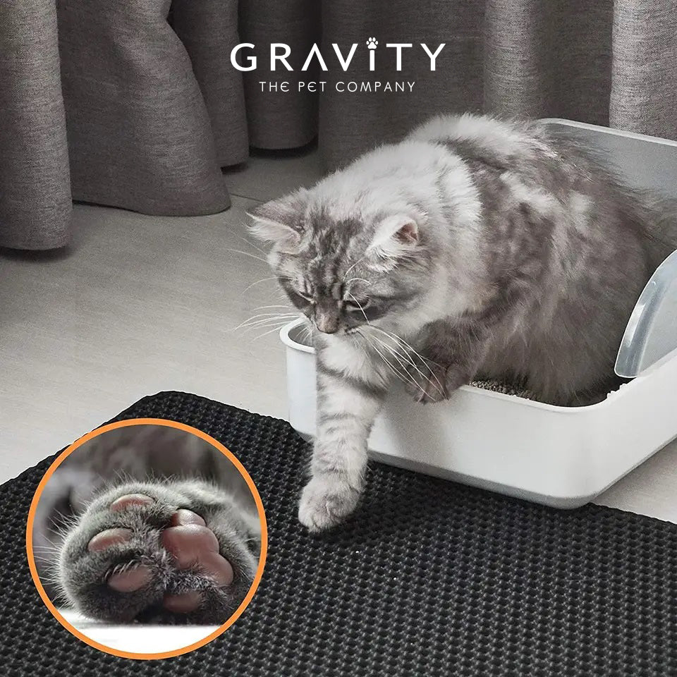 Gravity Catch Mat – Gravity Pet Co.